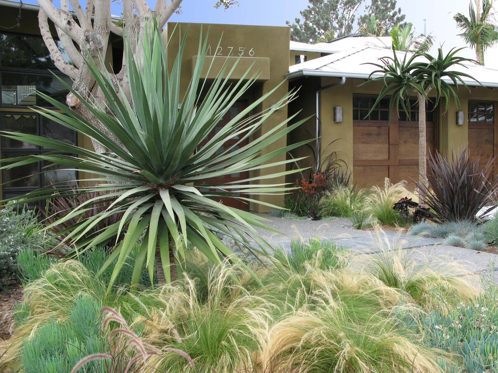 Contemporary front garden in San Diego.