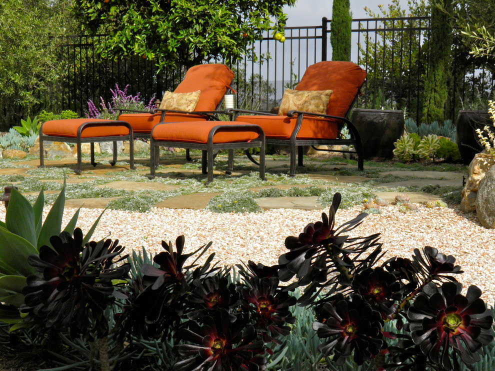 Идея дизайна: засухоустойчивый сад среднего размера на заднем дворе в средиземноморском стиле с полуденной тенью и покрытием из каменной брусчатки