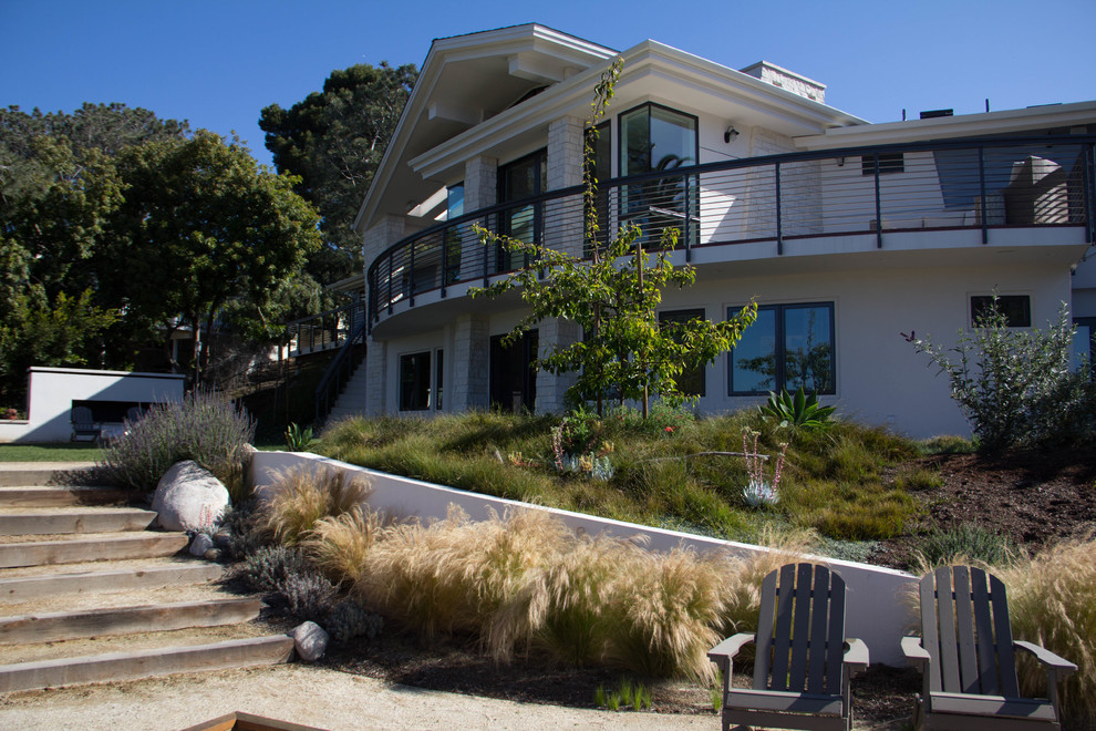 Großer Moderner Garten hinter dem Haus mit direkter Sonneneinstrahlung in San Diego