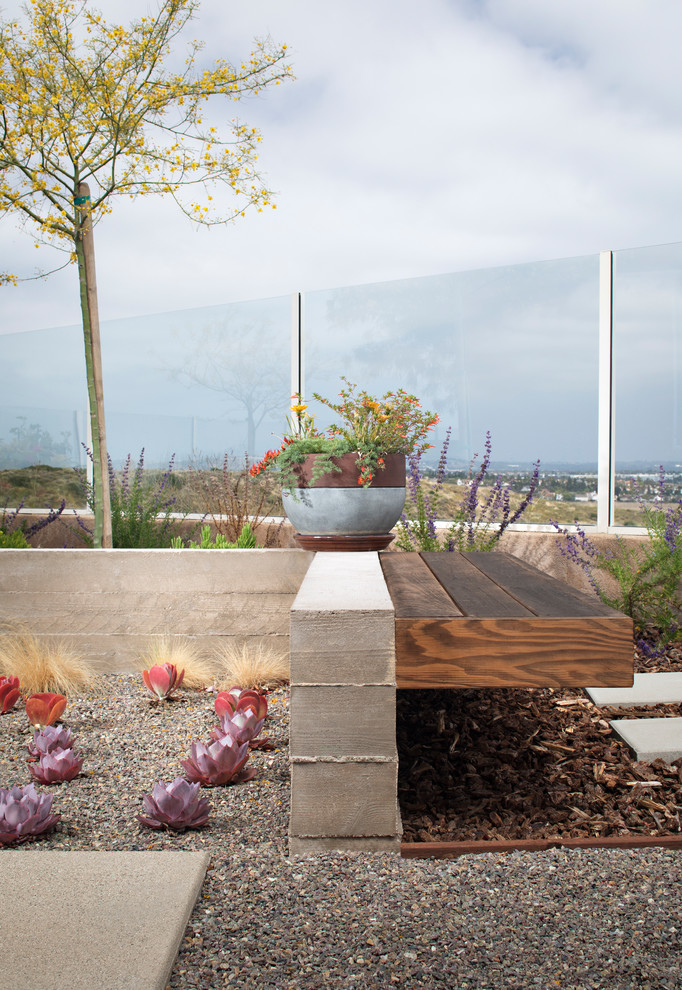 Cette image montre un jardin design de taille moyenne et au printemps avec un mur de soutènement, une exposition ensoleillée et des pavés en béton.