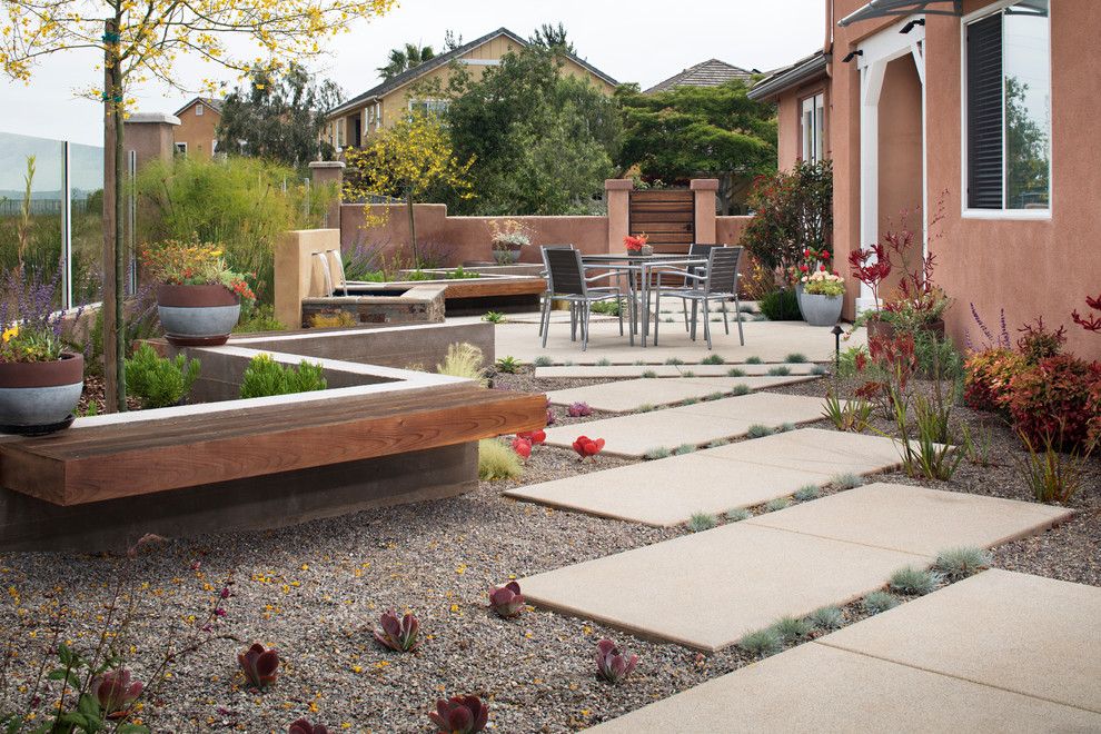 Immagine di un giardino xeriscape design esposto in pieno sole di medie dimensioni e in cortile in primavera con un muro di contenimento e pavimentazioni in cemento