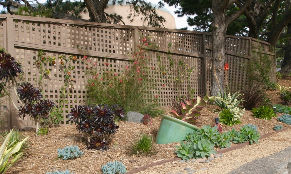 Пример оригинального дизайна: маленький участок и сад на переднем дворе в современном стиле с подъездной дорогой и полуденной тенью для на участке и в саду