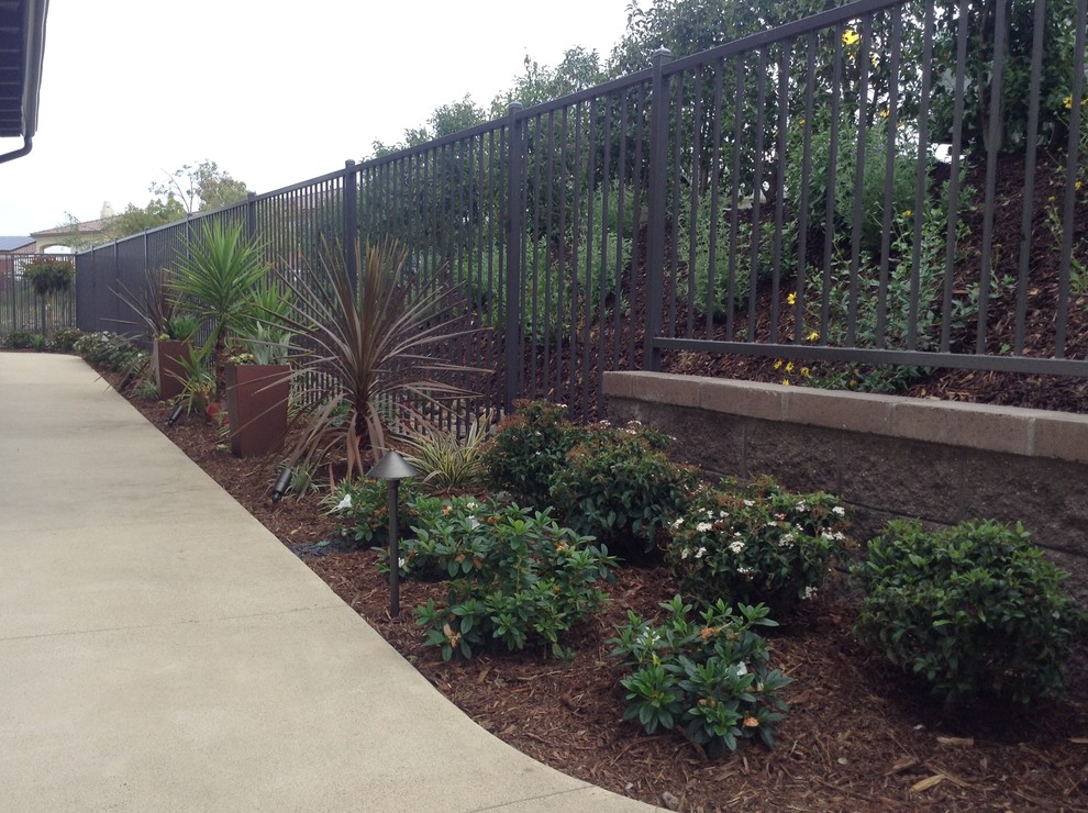 Photo of a contemporary garden in San Diego.