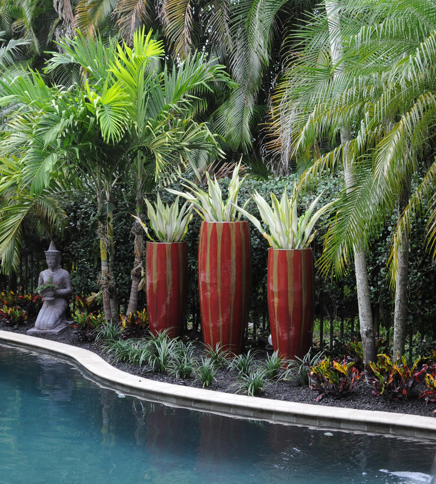 Photo of a world-inspired back partial sun garden in Miami with a potted garden.