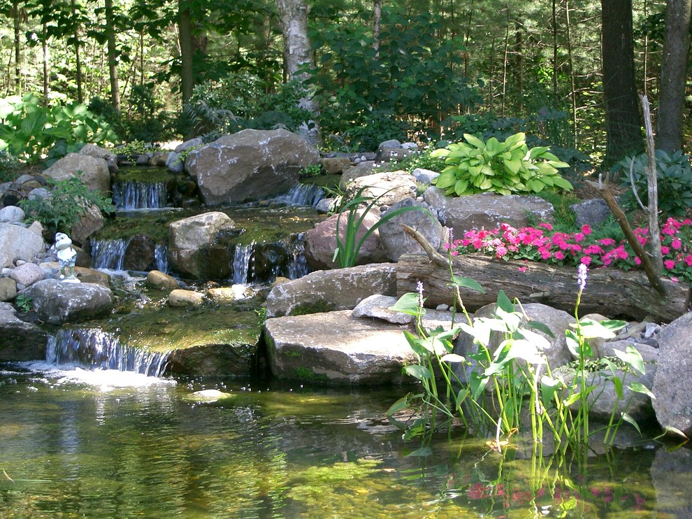 Réalisation d'un grand jardin arrière tradition l'été avec un bassin, une exposition ensoleillée et des pavés en pierre naturelle.