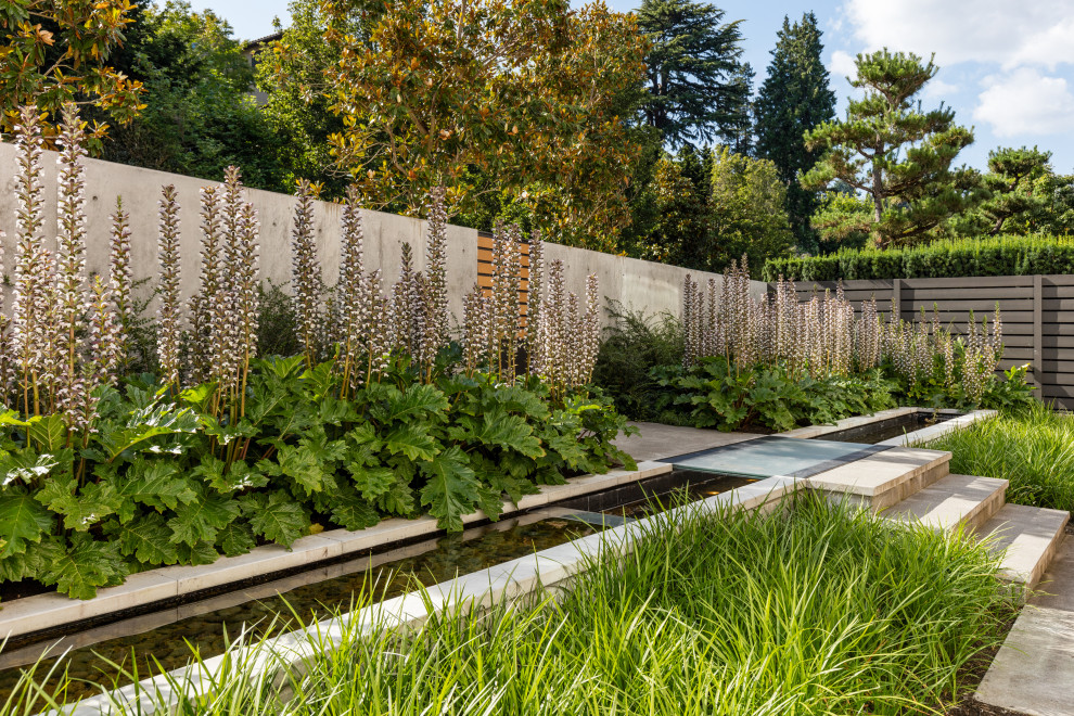 Inspiration pour un jardin à la française avant design de taille moyenne avec une cascade, des pavés en béton et une exposition partiellement ombragée.