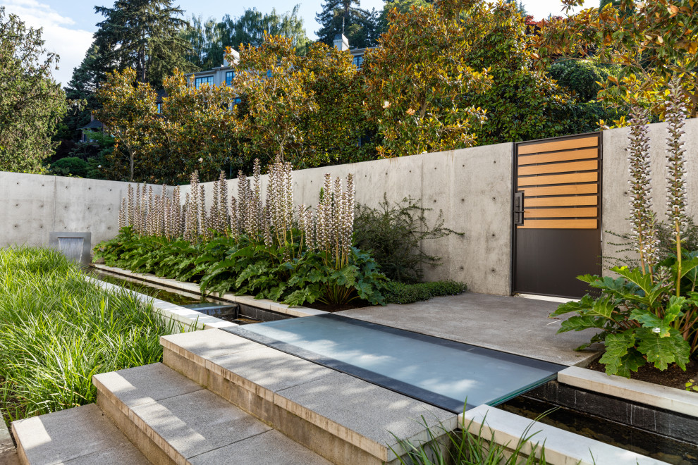 Immagine di un giardino formale minimalista esposto in pieno sole di medie dimensioni e davanti casa con una cascata e pavimentazioni in cemento