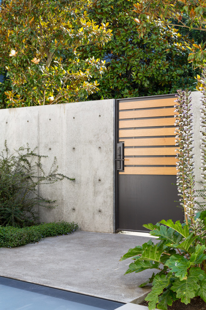 Ispirazione per un giardino formale moderno esposto in pieno sole di medie dimensioni e davanti casa con una cascata e pavimentazioni in cemento