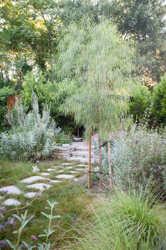 Imagen de camino de jardín de secano rústico pequeño en verano en patio trasero con exposición parcial al sol y adoquines de hormigón