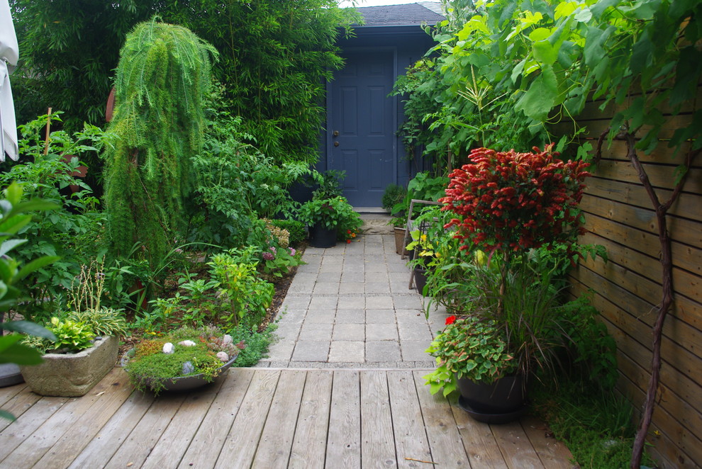 Contemporary garden in Toronto.