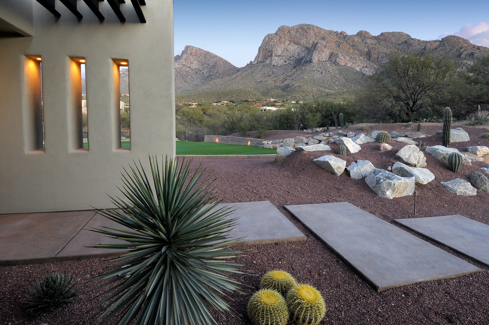 Design ideas for a front xeriscape garden in Phoenix with a desert look.