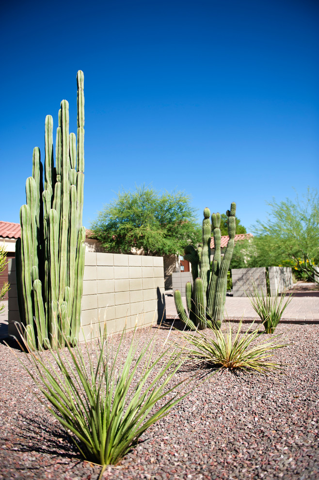 Großer Moderner Garten mit direkter Sonneneinstrahlung und Betonboden in Phoenix