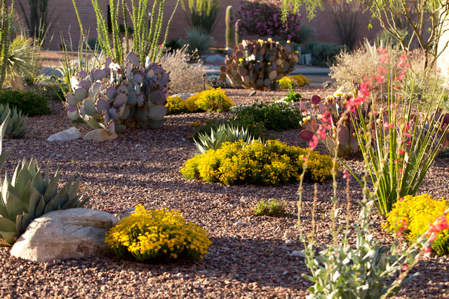 Desert Gem Mediterranean Garden, Xeriscape Landscape Design Phoenix