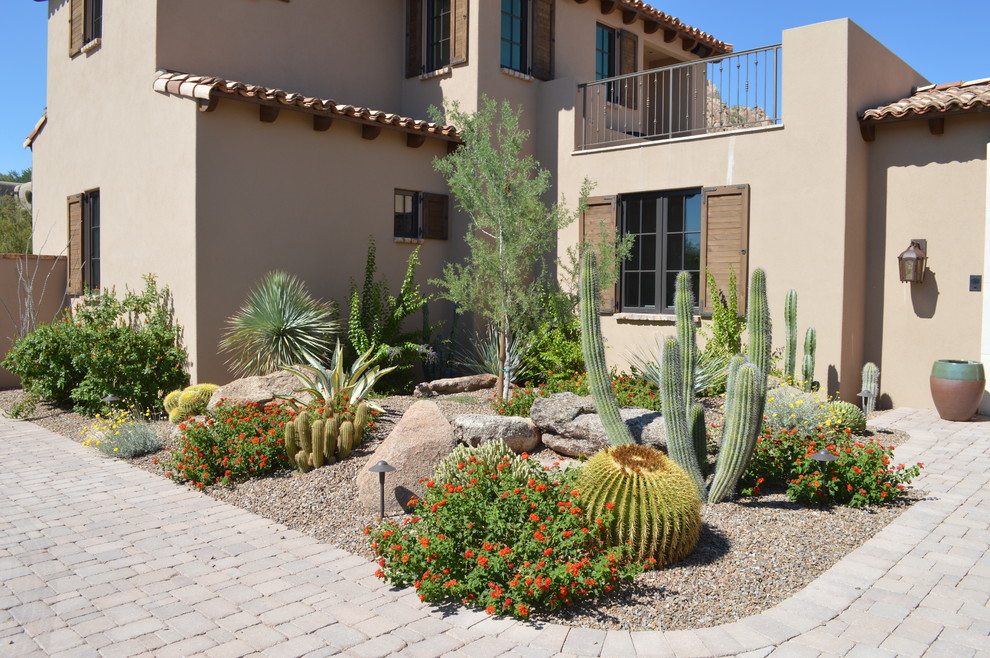 На фото: засухоустойчивый сад на переднем дворе в стиле фьюжн с пустынными растениями с