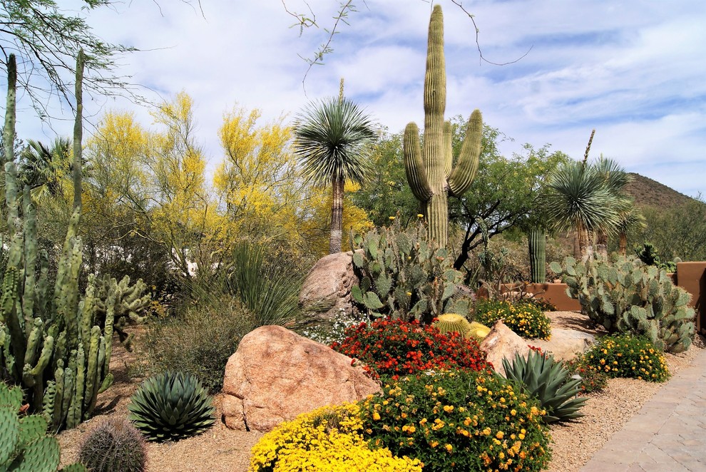 This is an example of a southwestern landscaping in Phoenix.