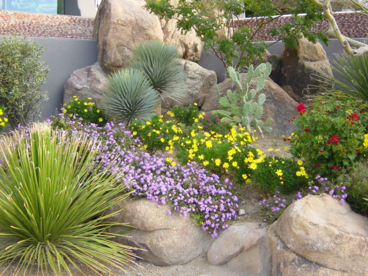 Modelo de jardín de secano de estilo americano grande en verano en patio delantero con exposición total al sol y gravilla