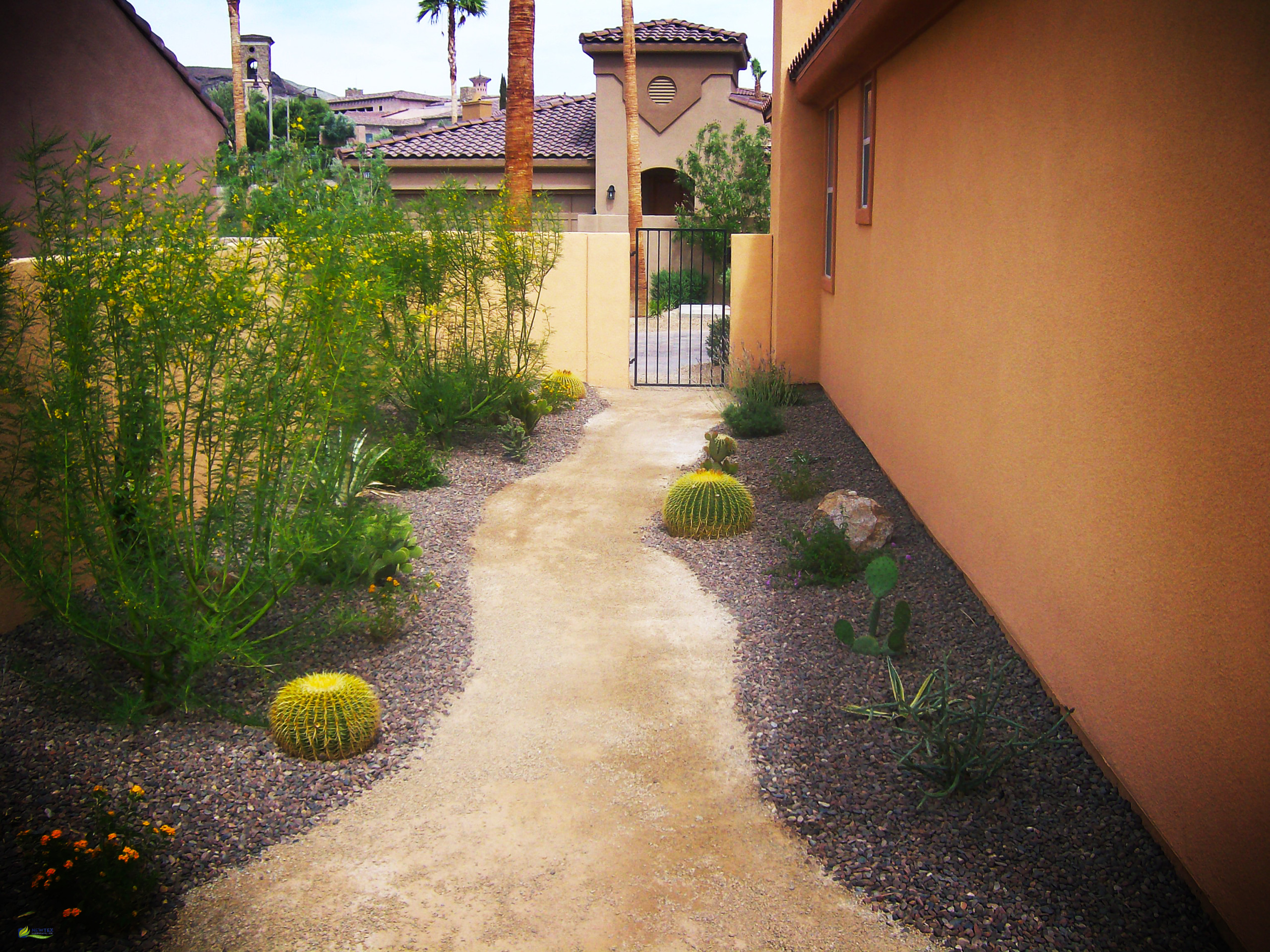 Desert Landscaping Services in Las Vegas - Las Vegas Landscaping
