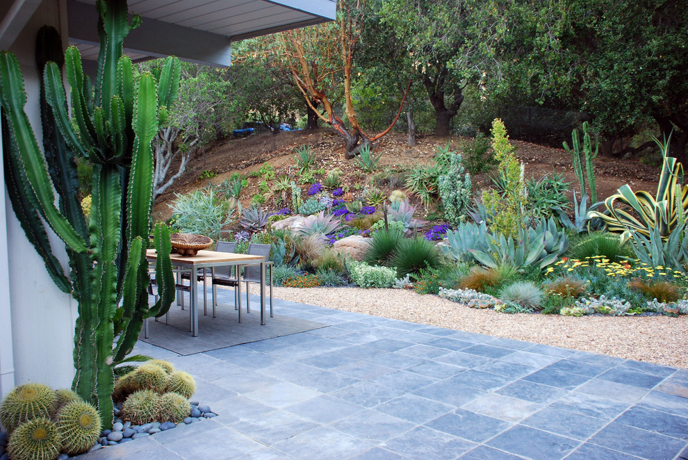 Inspiration for a modern drought-tolerant landscaping in San Francisco.