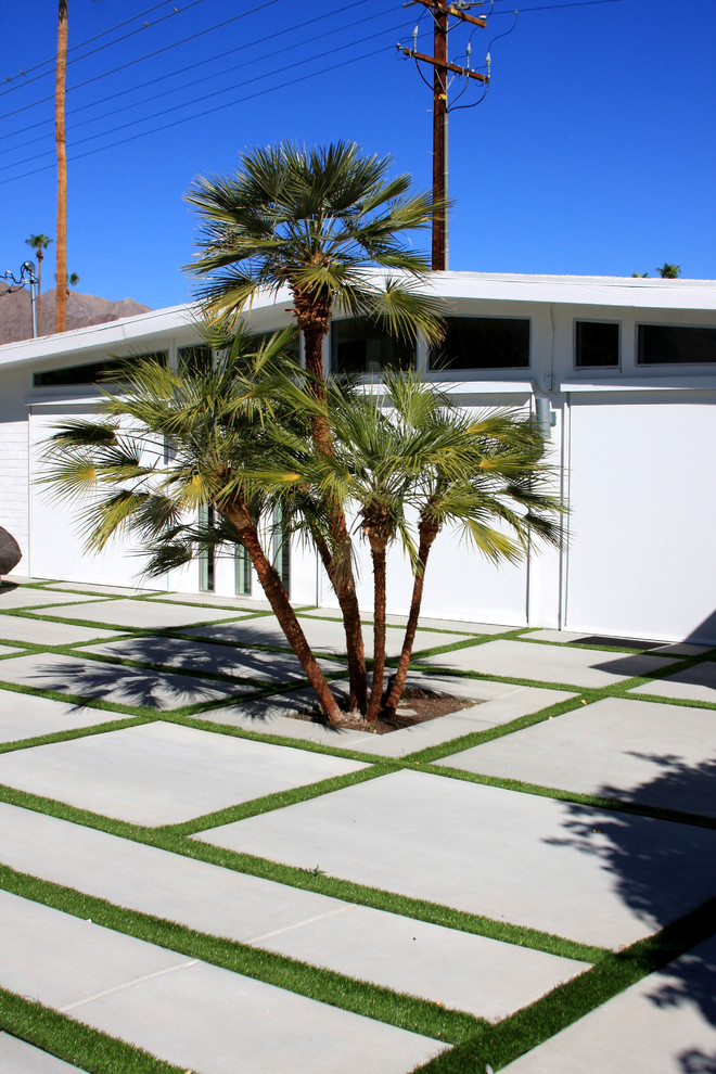Mid-Century Vorgarten mit Auffahrt und direkter Sonneneinstrahlung in Los Angeles