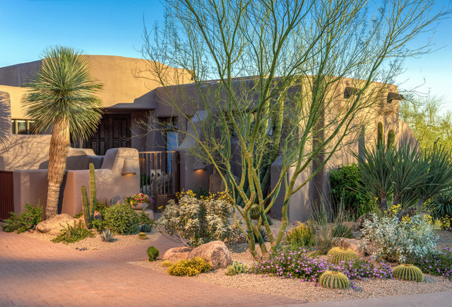 Desert Scape - Amerikanischer Südwesten - Garten - Phoenix - von