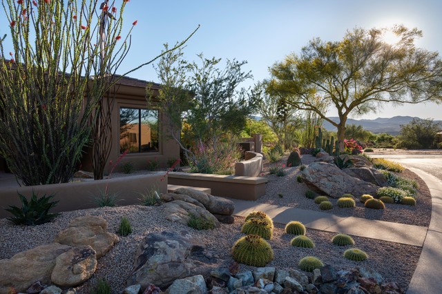 Desierto Curvazon サウスウェスタン 庭 フェニックス Bianchi Design Houzz ハウズ 0382