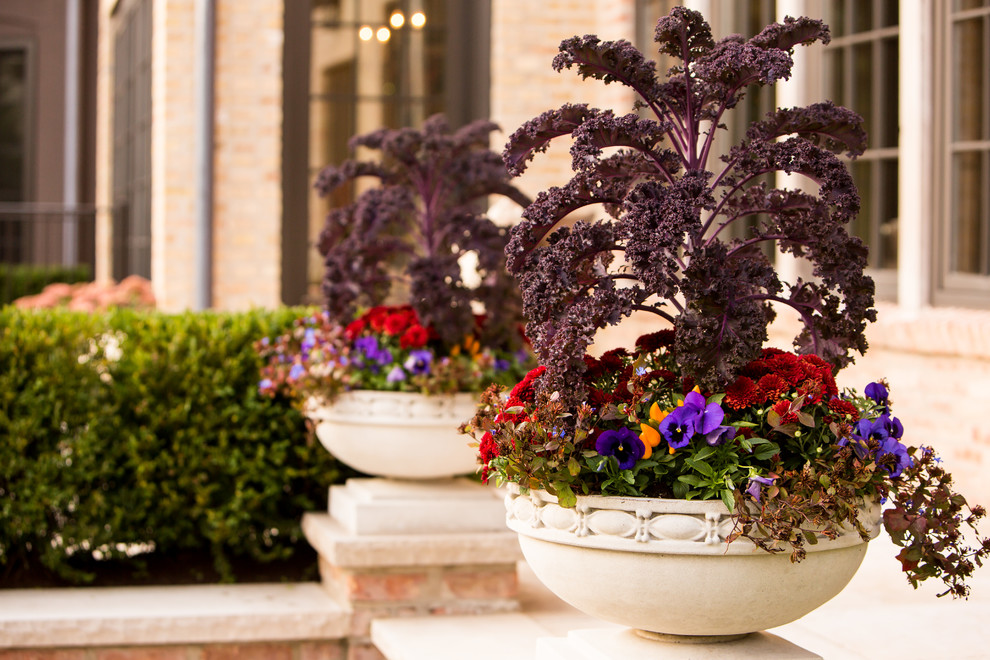 Cette image montre un grand jardin en pots arrière traditionnel l'automne avec une exposition ensoleillée et des pavés en pierre naturelle.