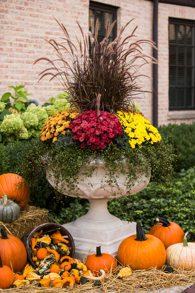 Réalisation d'un grand jardin en pots avant tradition l'automne avec une exposition ensoleillée.