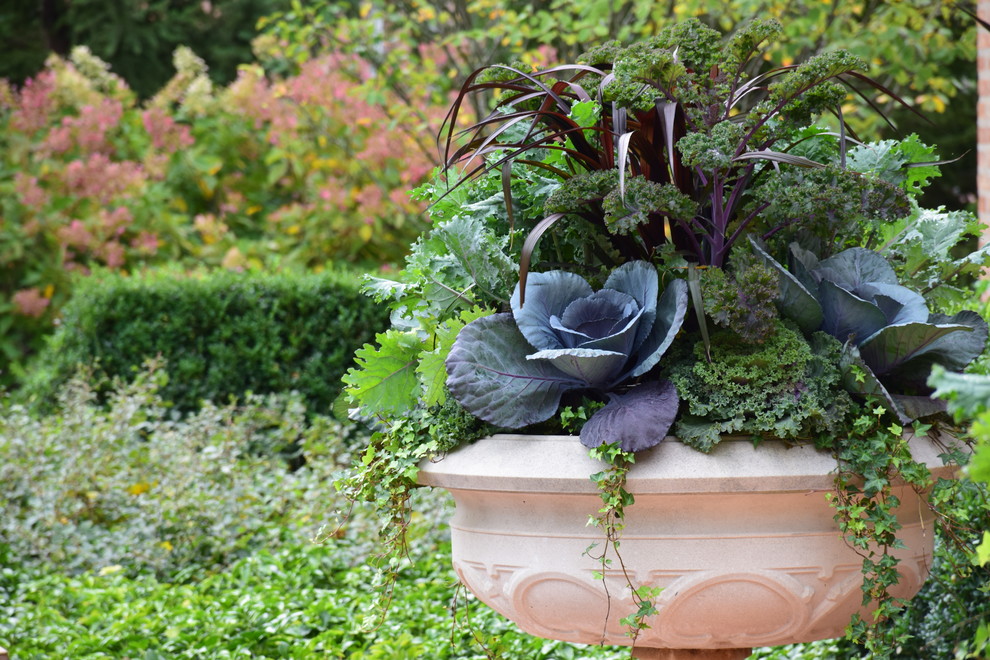 Idee per un giardino formale tradizionale esposto in pieno sole davanti casa in autunno con un giardino in vaso