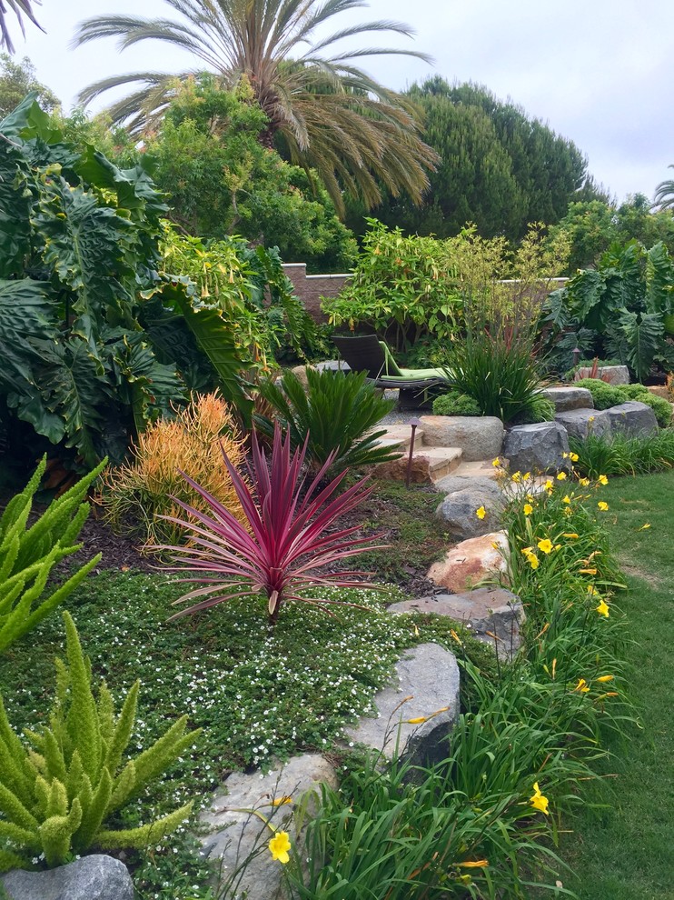 Immagine di un giardino formale tropicale esposto in pieno sole di medie dimensioni e dietro casa con un muro di contenimento e pavimentazioni in pietra naturale