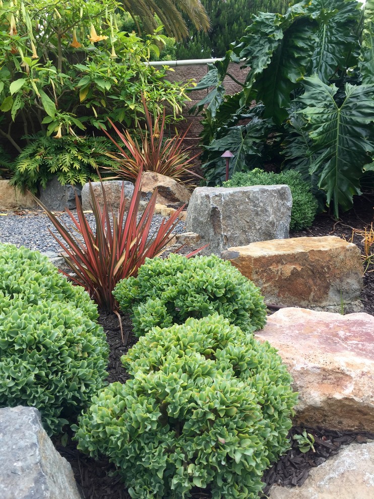 Immagine di un giardino formale tropicale esposto in pieno sole di medie dimensioni e dietro casa con pacciame
