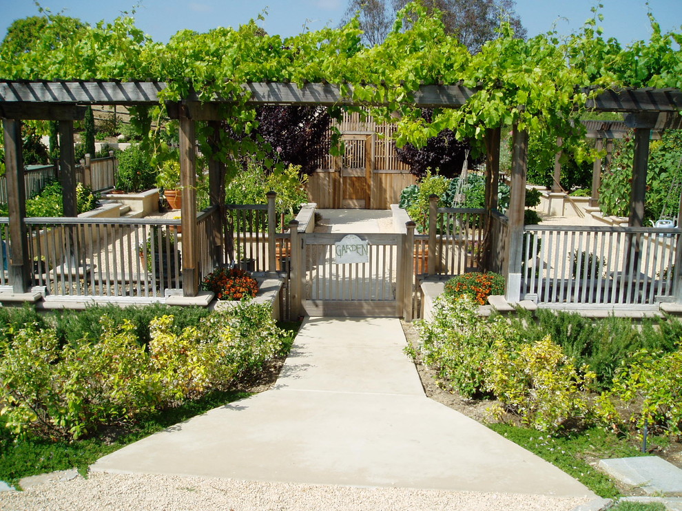 Immagine di un orto in giardino mediterraneo esposto in pieno sole dietro casa con pavimentazioni in cemento
