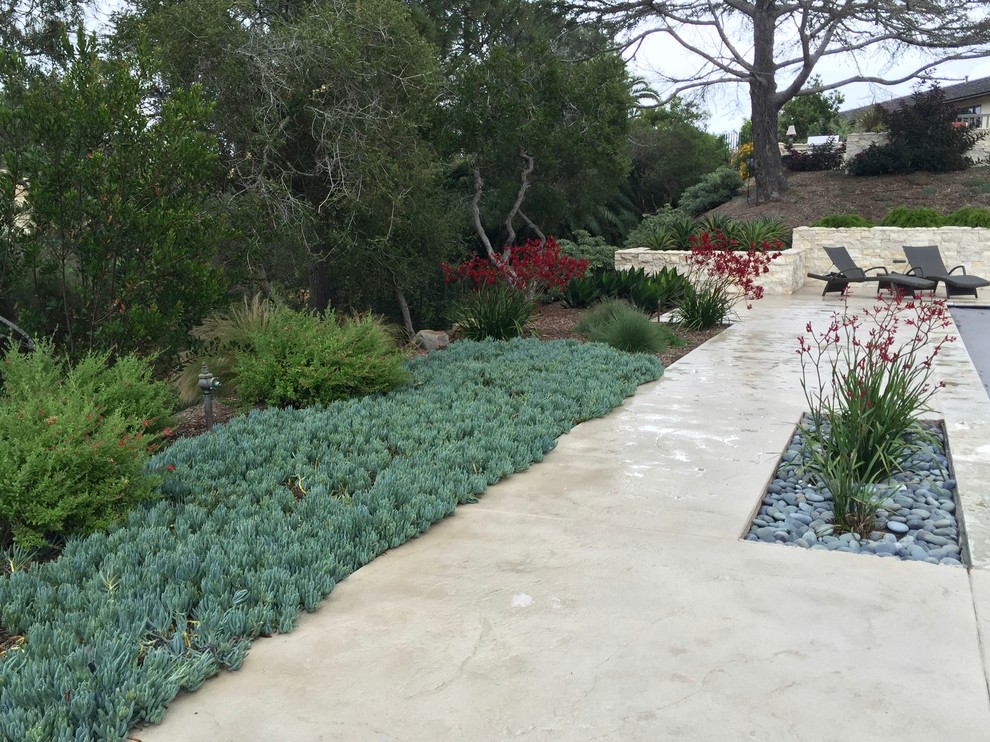 Inspiration for an expansive contemporary back xeriscape full sun garden in San Diego with natural stone paving.