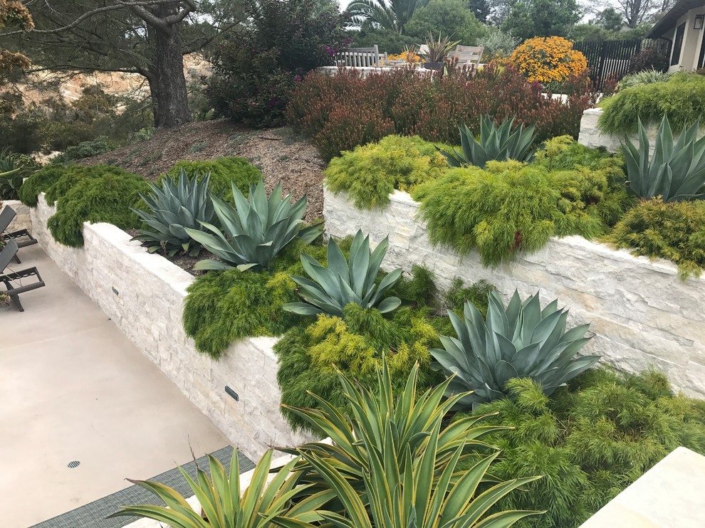 Geräumige Moderne Gartenmauer hinter dem Haus mit direkter Sonneneinstrahlung und Natursteinplatten in San Diego