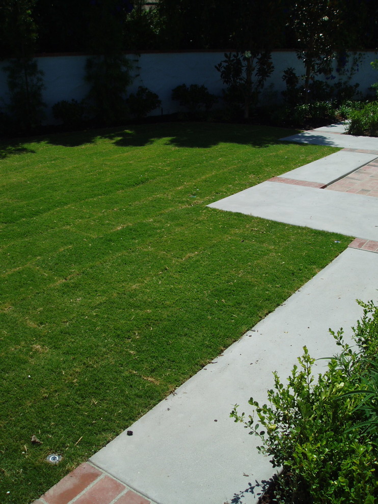 Design ideas for a classic back full sun garden in San Diego with concrete paving.