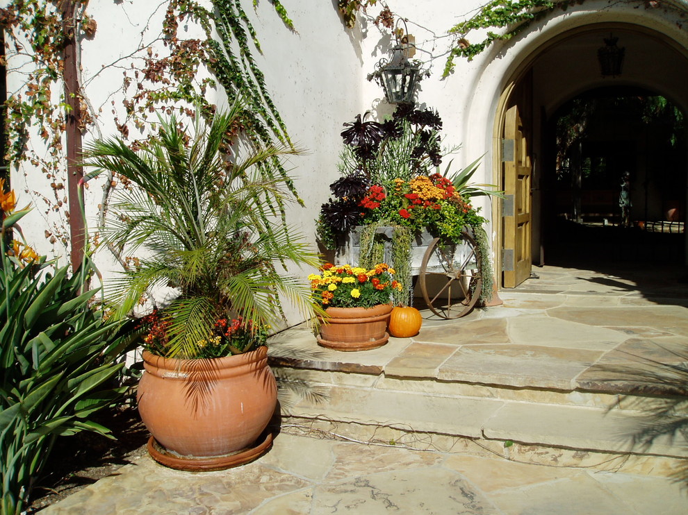 This is an example of a mediterranean full sun courtyard stone landscaping in San Diego.