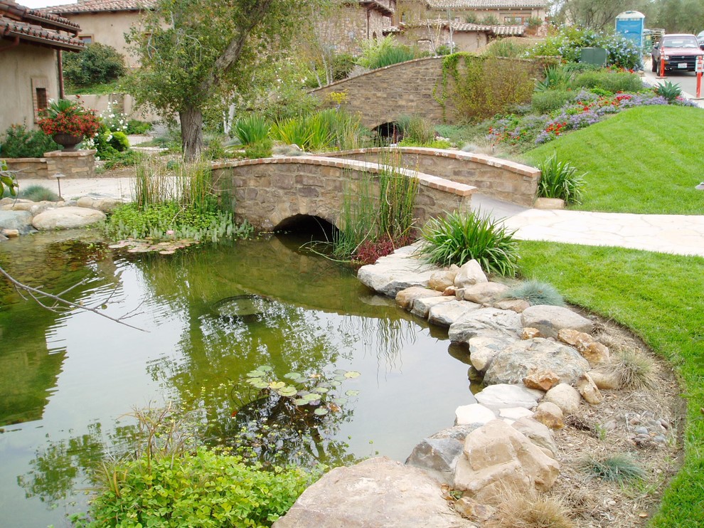 This is an example of a mediterranean front garden in San Diego.