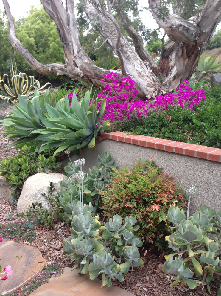 Design ideas for a medium sized eclectic back xeriscape partial sun garden in San Diego with natural stone paving.