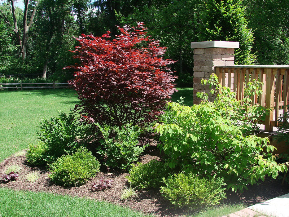 На фото: регулярный сад среднего размера на переднем дворе в классическом стиле с садовой дорожкой или калиткой, полуденной тенью и покрытием из каменной брусчатки