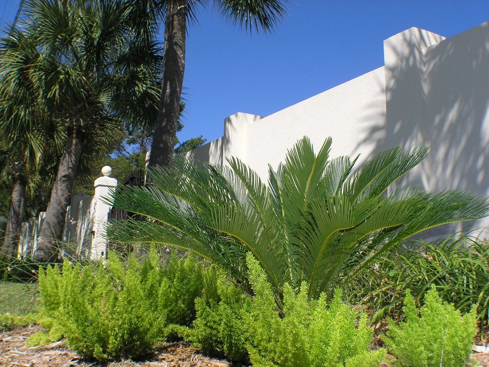 Immagine di un grande giardino mediterraneo esposto in pieno sole davanti casa in primavera con pavimentazioni in cemento