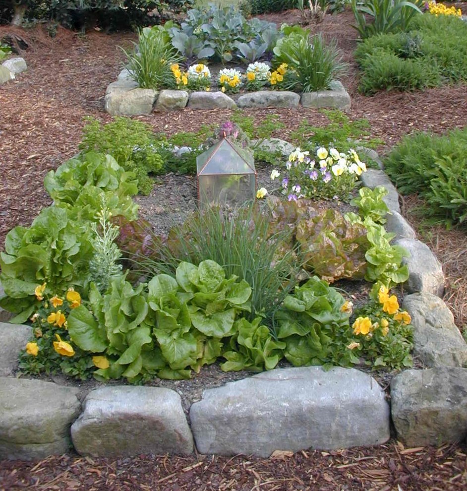 Idée de décoration pour un jardin avant tradition de taille moyenne et l'été avec une exposition ensoleillée et un paillis.