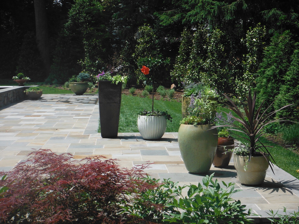 Photo of a small contemporary full sun backyard stone landscaping in DC Metro for spring.