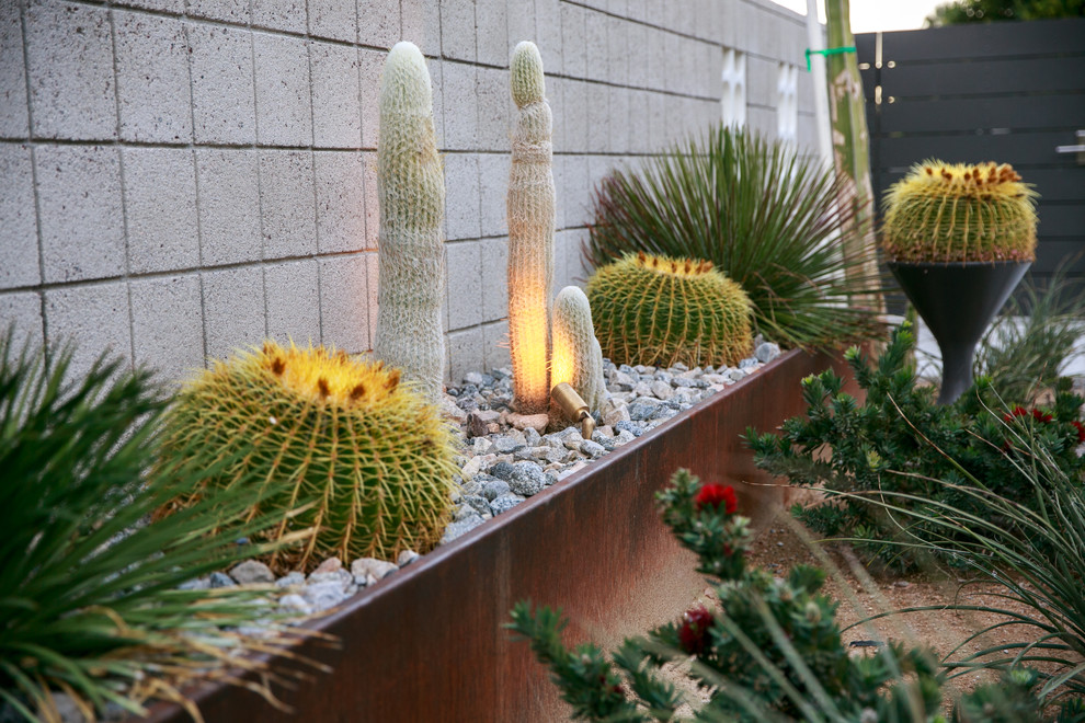 Großer Retro Garten mit Kübelpflanzen und direkter Sonneneinstrahlung in San Diego