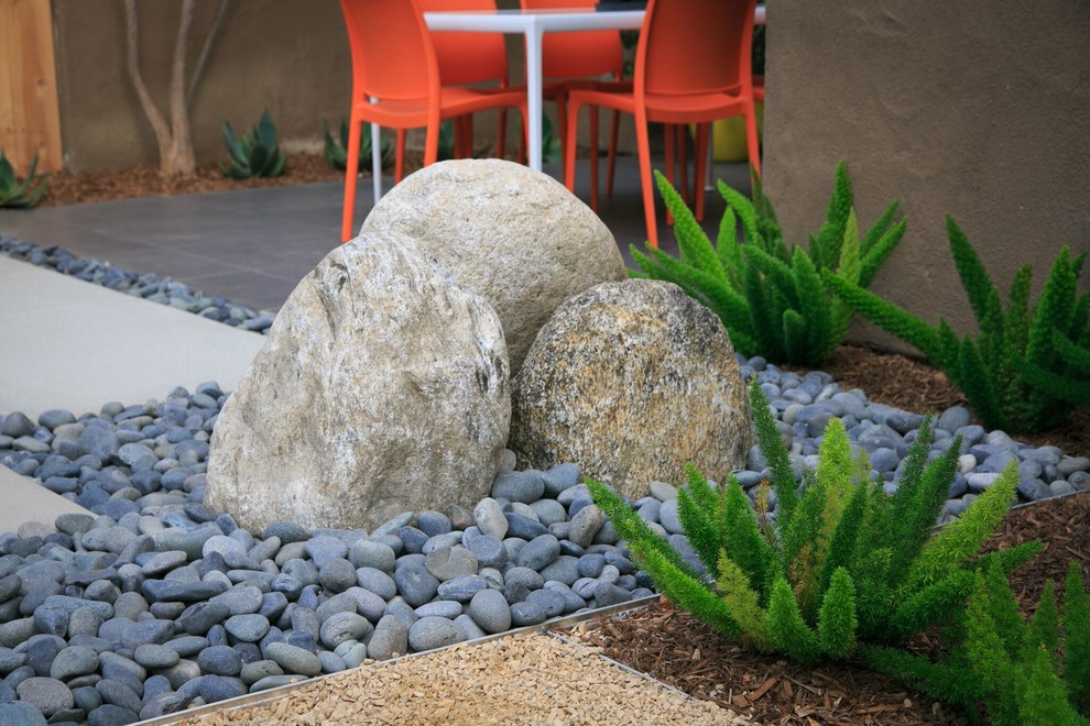 Design ideas for a small modern drought-tolerant and partial sun backyard landscaping in San Diego.