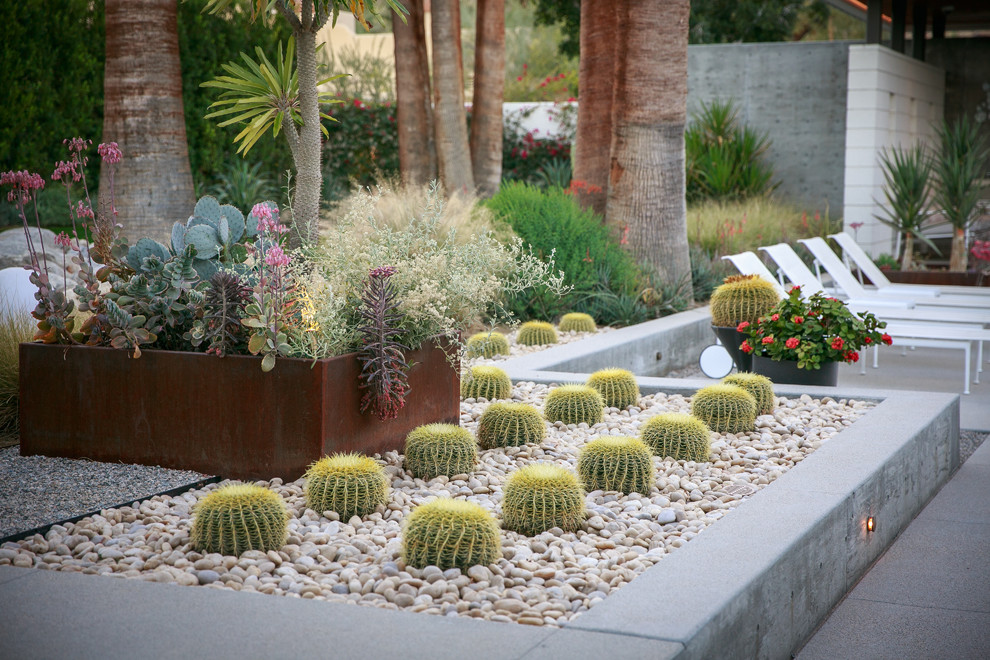 Идея дизайна: большой солнечный засухоустойчивый сад на заднем дворе в стиле ретро с растениями в контейнерах, хорошей освещенностью и покрытием из гравия