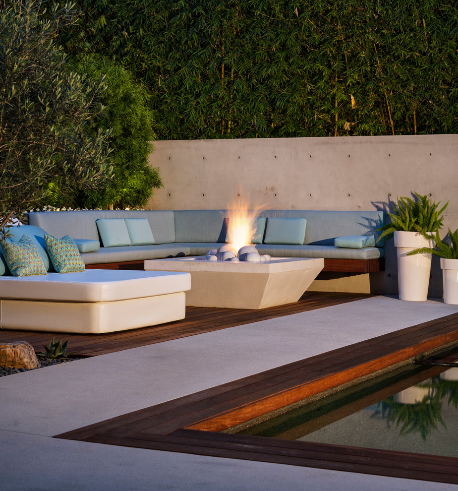 Großer Moderner Garten hinter dem Haus mit Feuerstelle und direkter Sonneneinstrahlung in San Diego