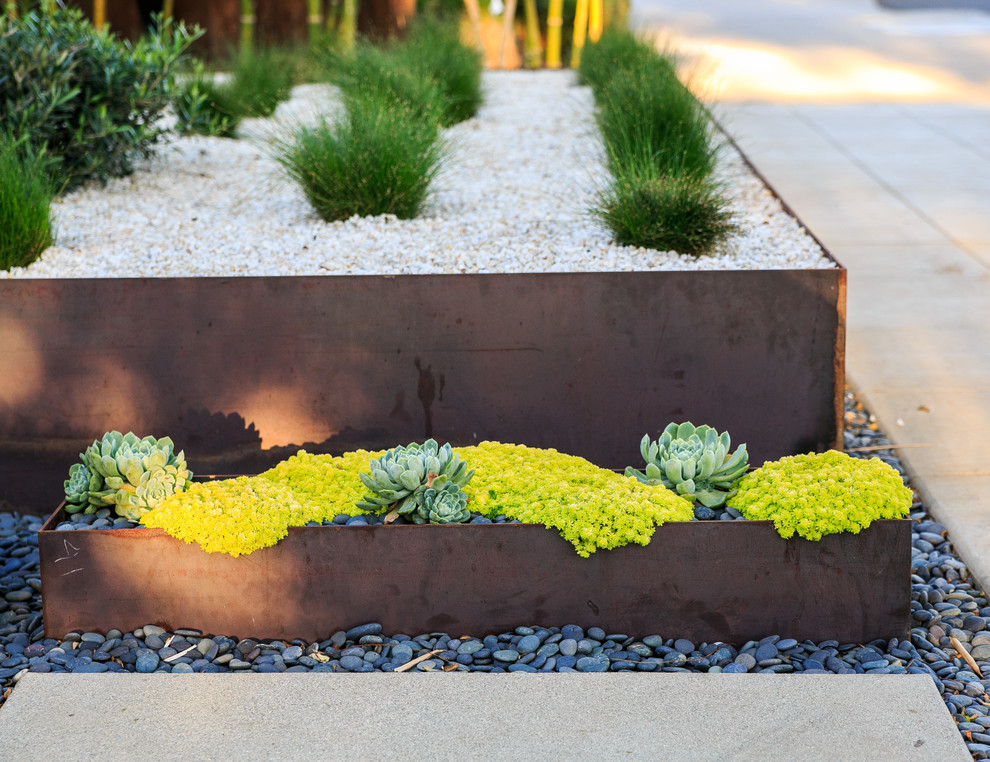Ejemplo de jardín de secano minimalista grande en patio trasero con jardín de macetas, exposición parcial al sol y adoquines de hormigón