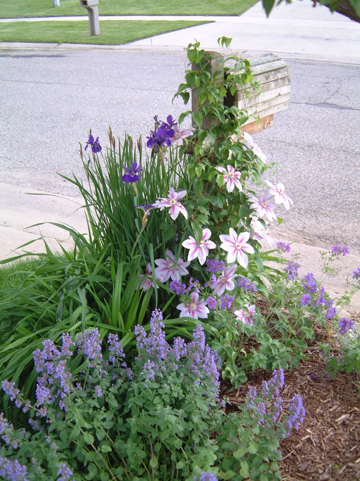 グランドラピッズにある春のトラディショナルスタイルのおしゃれな庭 (日向、マルチング舗装) の写真