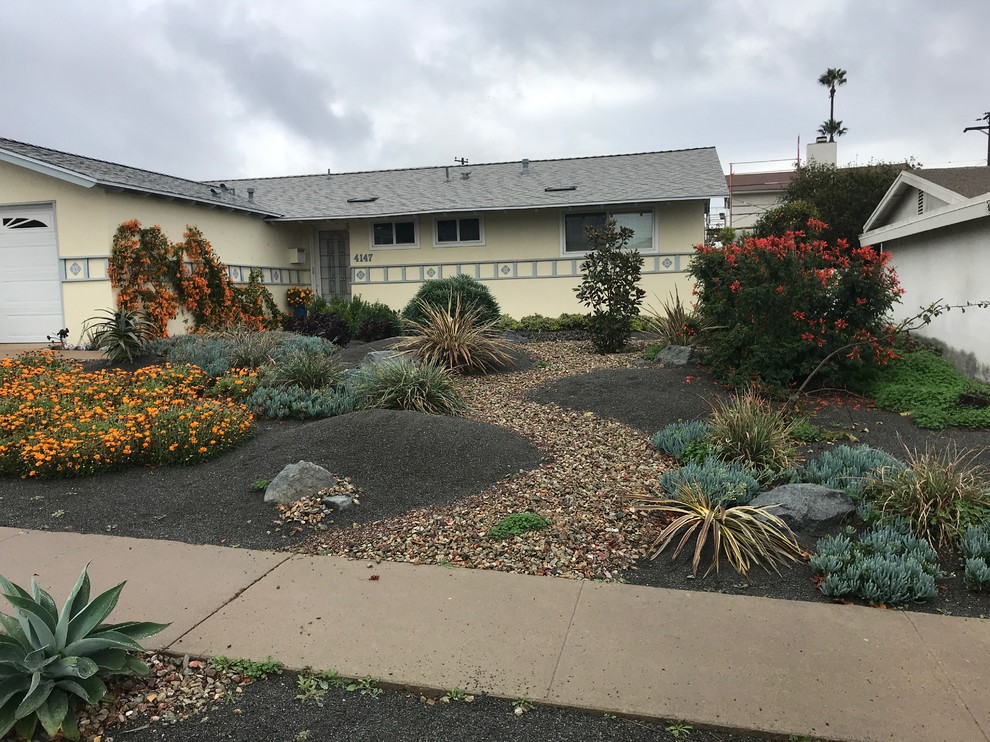 Photo of a medium sized world-inspired front xeriscape full sun garden in San Diego with gravel.