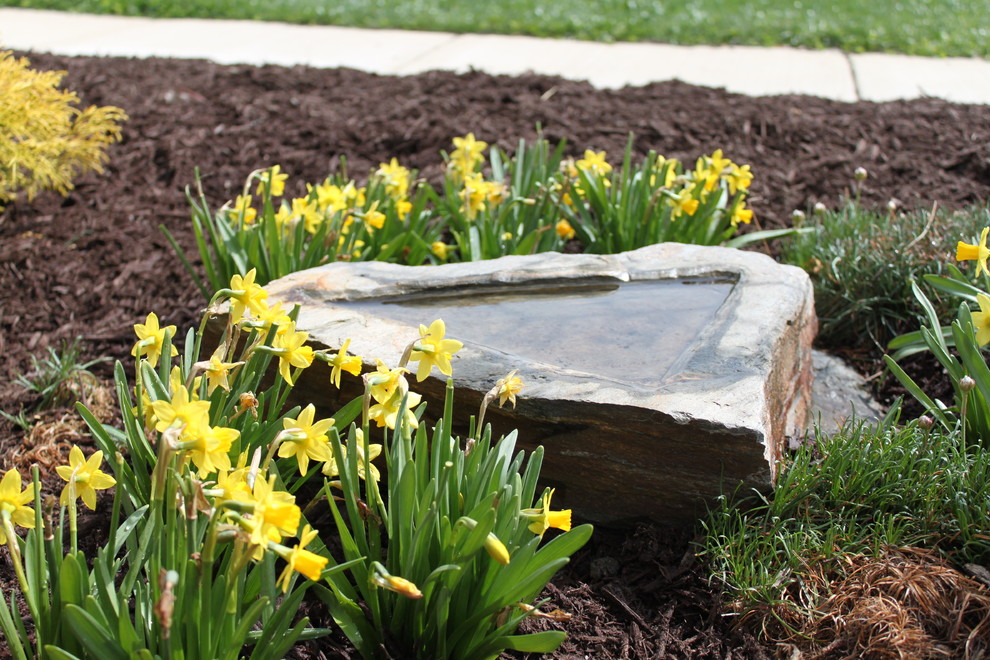 Cette image montre un petit jardin arrière traditionnel au printemps avec un bassin, une exposition ombragée et du gravier.