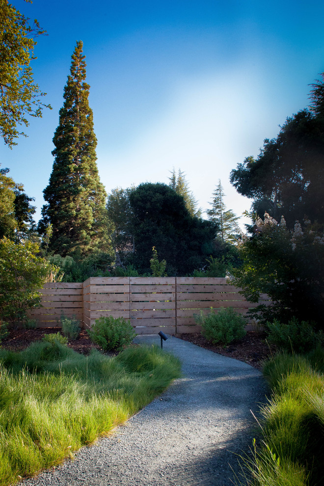 Photo of a medium sized rural front partial sun garden in San Francisco with a garden path and gravel.